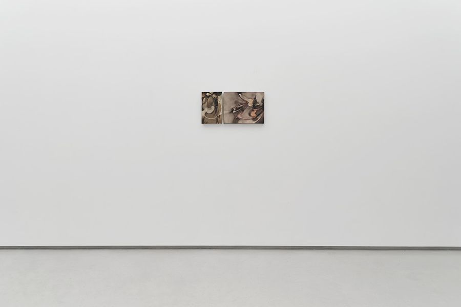 Soft control gallery view.