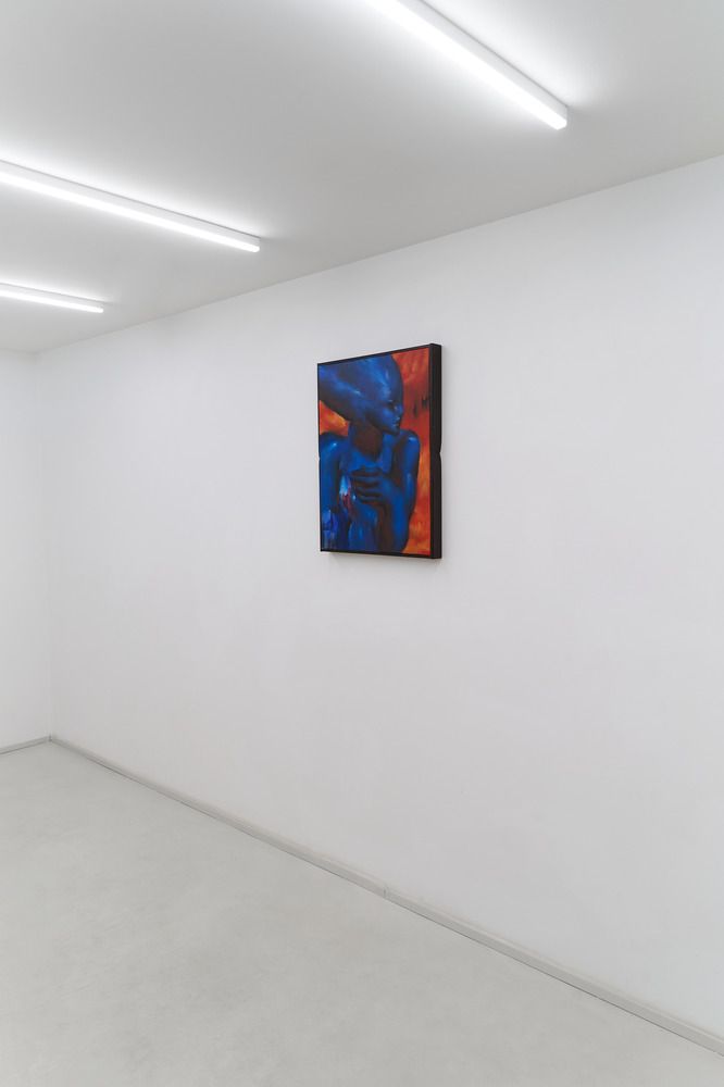 Unveiling the Unknown gallery view.