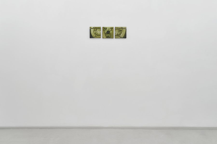 Soft control gallery view.