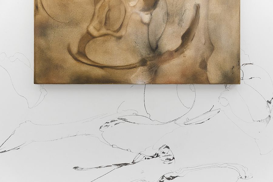 Soft control gallery view.