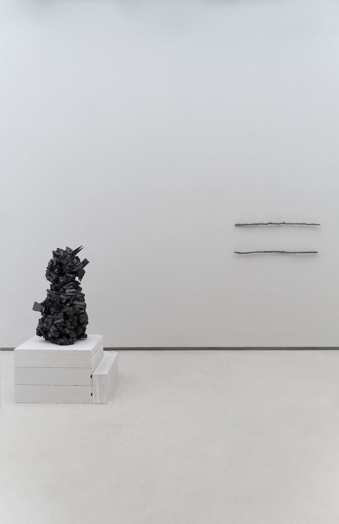 Unveiling the Unknown gallery view.