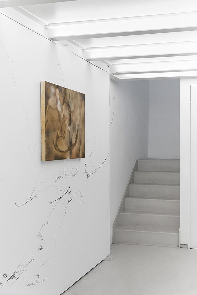 Soft control gallery view.