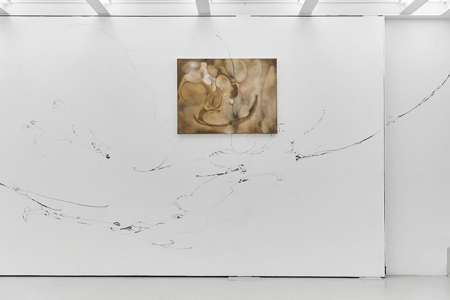 Soft control gallery view.