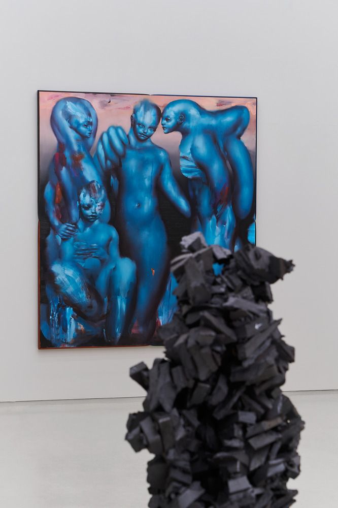Unveiling the Unknown gallery view.