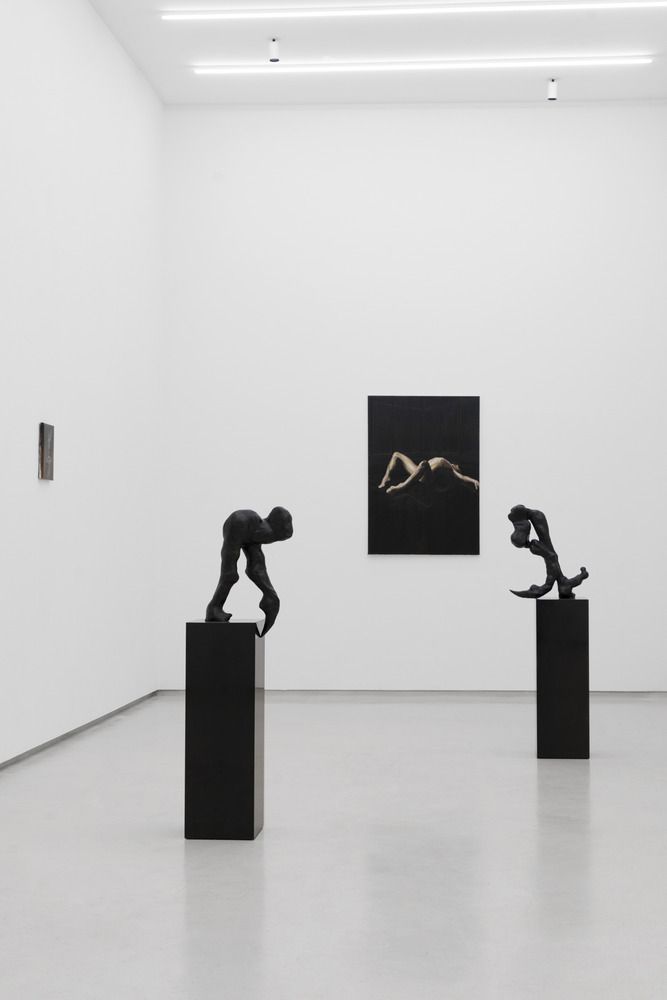 Pain of Pleasure gallery view.